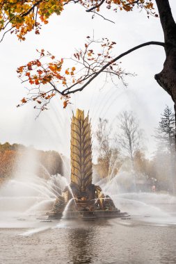 Moskova, Rusya - Ekim 08, 2020: Sonbaharda VDNH 'de Altın Kolos Çeşmesi