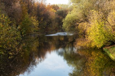 Şehir parkında sonbahar, sarı yapraklı ağaçlar,