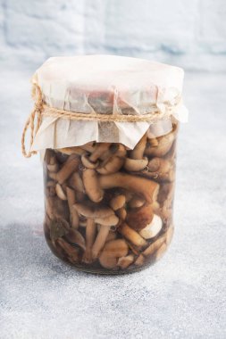 Bankalarda sebzelerin korunması. Fermantasyon ürünleri. Kış için mantar topluyorum. Boşluğu kopyala