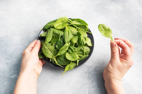 Spinach green fresh leaves on a black plate. Female hands holding a plate and a spinach leaf in her hand