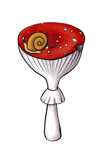 Цифрове мистецтво намалювало ілюстративну композицію гриба аманіта з червоною шапочкою і маленьким равликом на ньому. Муха агаризова ізольована на білому тлі для принтів, наклейок та прикрас — стокове фото
