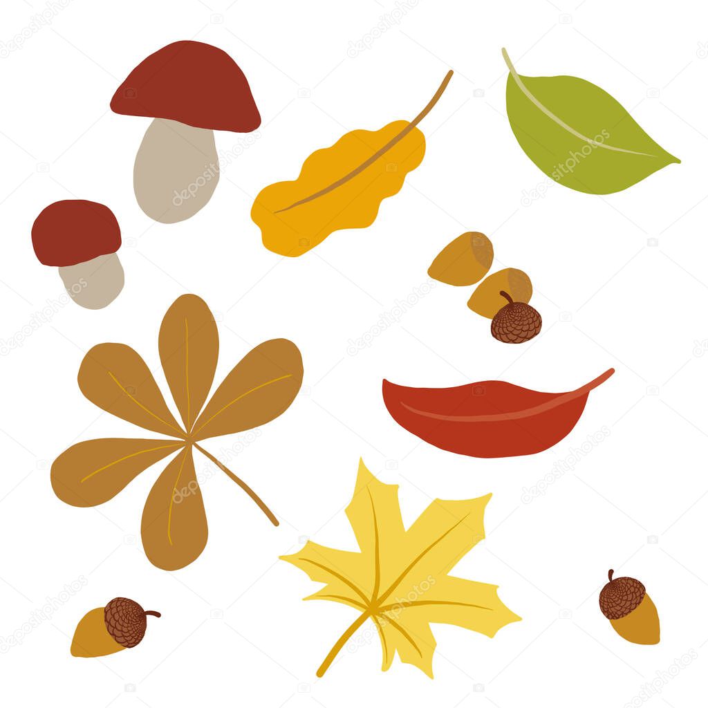 Colección de símbolos de temporada de otoño. Conjunto de objetos