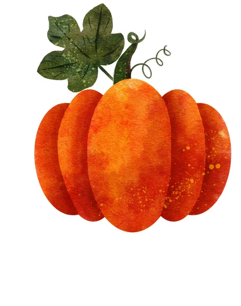 Oranžová texturovaná velká akvarelová dýně s listem. Ilustrace podzimní tradiční zeleniny izolované na bílém. Krátký zelený stonek s listím. Den díkůvzdání, Halloween, podzimní symbol dekorace — Stock fotografie