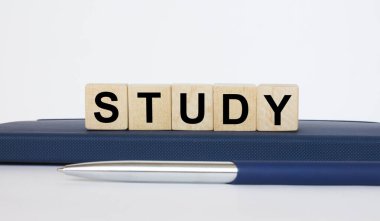 Tahta küplerin üzerindeki metin çalışması, metal mavi kalemle Notepad 'in üzerinde yatıyor. İş konsepti fotoğrafı