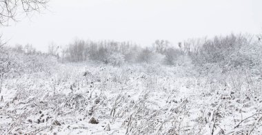 Şiddetli bir kar yağışı sonrası bataklık. Kış Ponamramsı manzarası
