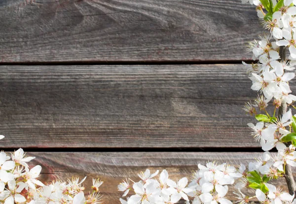 Metinleriniz için boş yeri olan bir çiçek dalı tarafından çerçevelenmiş ahşap arkaplan