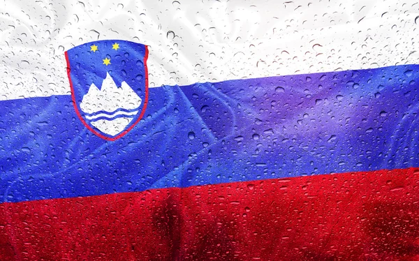 Bandera Eslovenia tiempo lluvioso — Foto de Stock