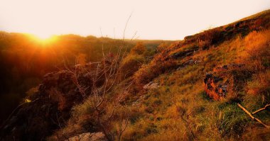 Renkli sonbahar manzara sahne