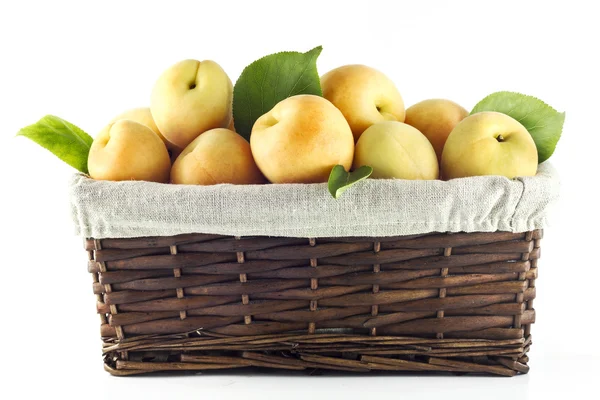 Apricots with basket — Stock Photo, Image