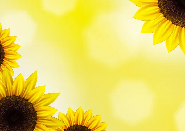 Girasoles vector fondo — Vector de stock