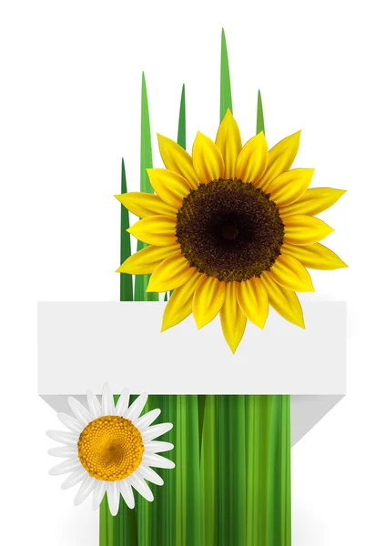 Bacgkround de fleurs avec ruban — Image vectorielle