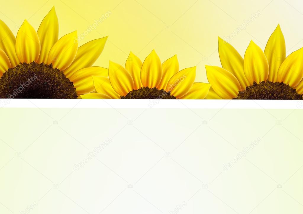 Sunflower vector background