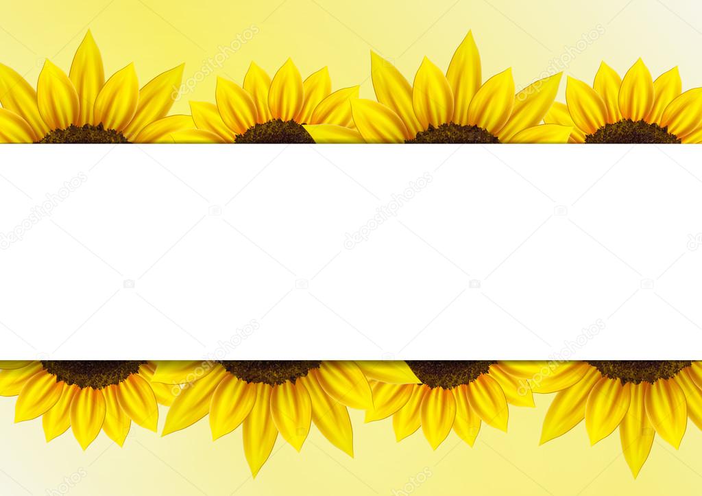 Sunflower vector background
