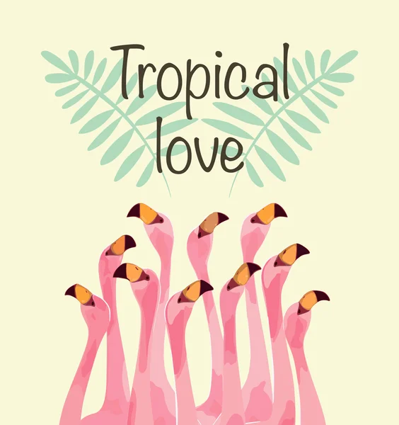 Ilustración de flamenco para el amor tropical — Vector de stock