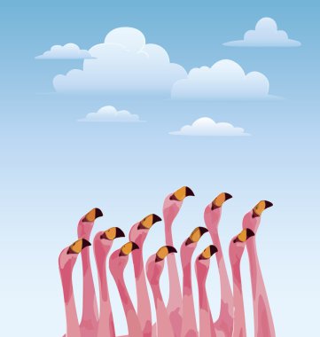 Flamingo  clipart