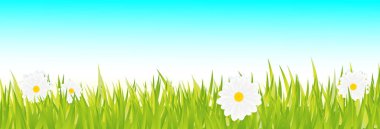 Papatyalı çim sınırı. Ufuk çizgisi, çim ve çiçek tarlası olan bir Horizon. 3B Gerçekçi Vektör İllüstrasyonu