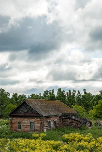 Stará chatrč a kvetoucí tráva na venkově. Opuštěný starý dřevěný domek — Stock fotografie