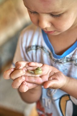 Yazın doğayı keşfederken küçük yeşil salyangozu izleyen küçük bir çocuk.
