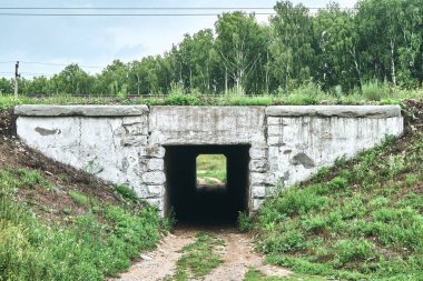 Kırsal kesimdeki demiryolunun altındaki yaya tüneli. Ormanın arka planındaki karanlık tünel.
