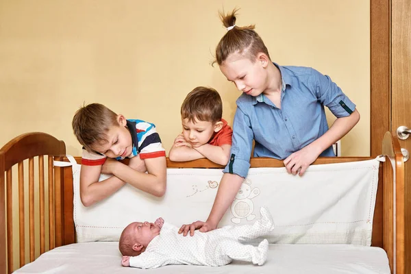 Happy Elder Brothers Look Carefully Touch Gently Lovely Baby Sibling — Stock Photo, Image