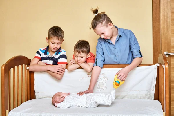 Vrolijke Oudere Broers Kijken Zorgvuldig Aanraken Zachtjes Mooie Baby Broer — Stockfoto