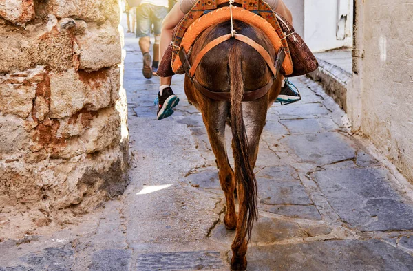 Tourists riding donkeys equipped with leather saddles on weathered narrow paved road on Lindos historical town street in Greece