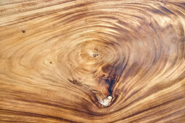 Fantastic Texture Large Lacquered Live Edge Suar Wood Slab Knot — Stock Photo, Image