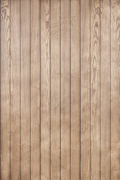 Stylish Contemporary Wainscoting Made Thin Light Toned Ash Timber Planks — Stock Photo, Image