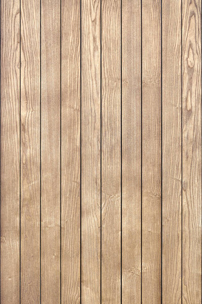 Stylish contemporary wainscoting made of thin light toned ash timber planks as textured background for design close view