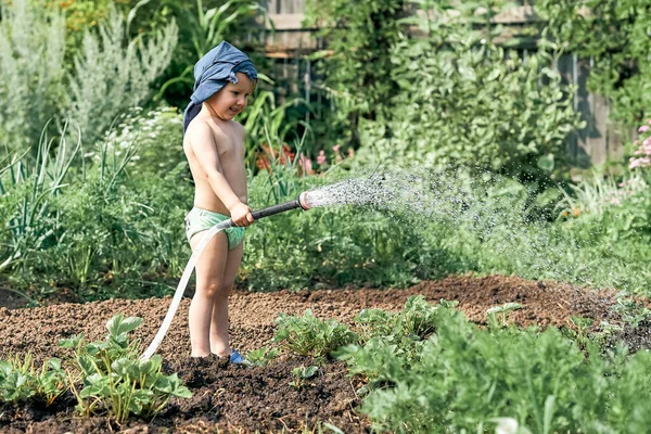 Adorable Little Boy Waters Green Plants Growing Kitchen Garden Bed — Stock Photo, Image