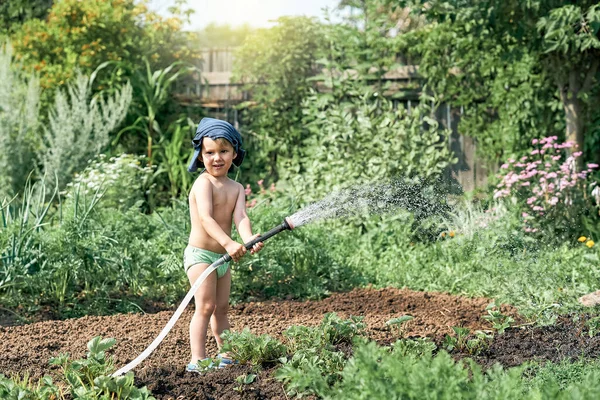 Adorable Niño Riega Plantas Verdes Que Crecen Cama Del Jardín — Foto de Stock