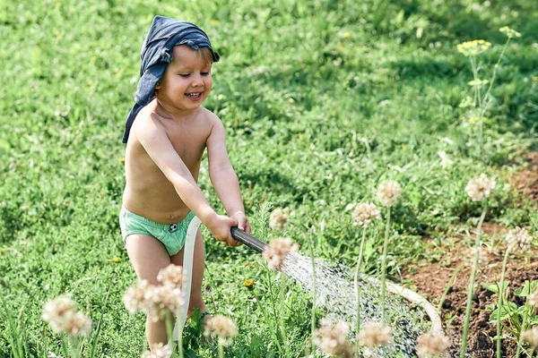 Sevimli Küçük Çocuk Güzel Güneşli Bir Günde Mutfak Bahçesinde Yeşil — Stok fotoğraf