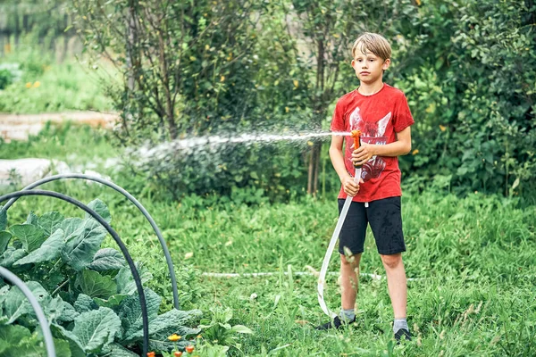 Anak Kecil Berbaju Merah Terang Air Yang Menumbuhkan Tanaman Kebun — Stok Foto