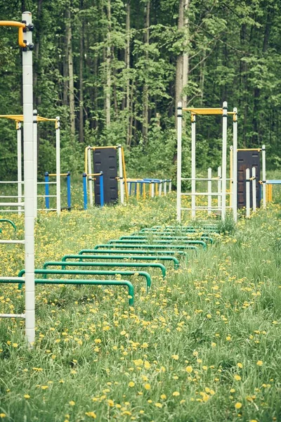 曇りの日に春の公園の森の近くに小さな黄色の花と緑のフィールドで異なるトレーナーと空のスポーツグラウンド — ストック写真