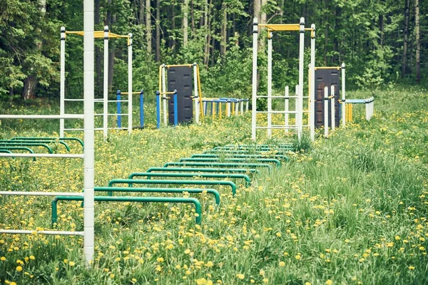 Campo Esportes Vazio Com Diferentes Treinadores Campo Verde Com Pequenas — Fotografia de Stock