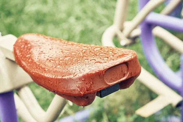 Treinador Colorido Com Assento Coberto Com Gotas Água Após Chuva — Fotografia de Stock