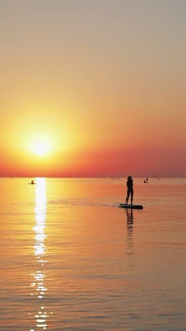 Bir Kız Sabahın Erken Saatlerinde Sakin Bir Denizde Sörf Tahtasının — Stok video
