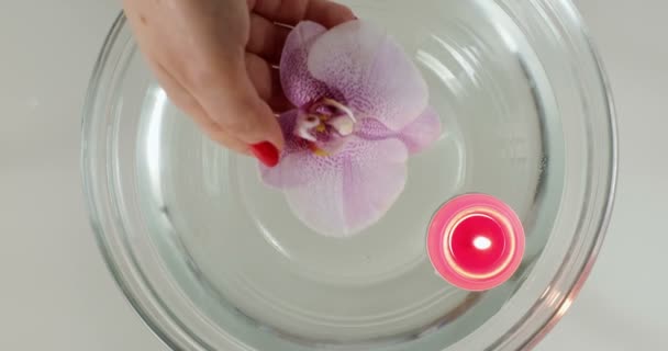 Mano Una Donna Abbassa Fiore Orchidea Acqua Una Grande Ciotola — Video Stock