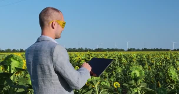 Homem Óculos Amarelos Trabalha Tablet Lado Campo Girassóis Contra Fundo — Vídeo de Stock