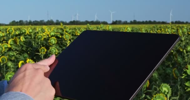 緑のひまわり畑を背景にしたタブレットのクローズアップ 男はタブレットで作業し それを下げ フレーム内の水平線に働く風車を明らかにします — ストック動画