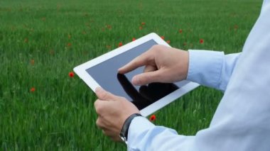 Modern bir çiftçi, tabletteki programları kullanarak ürün durumunu analiz eder..
