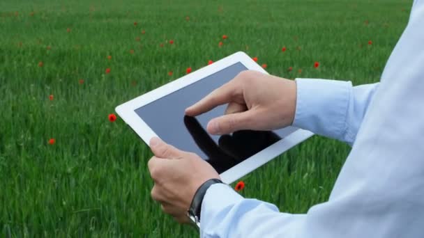 現代の農家は タブレット上のプログラムを使用して作物の状態を分析します クローズアップ — ストック動画