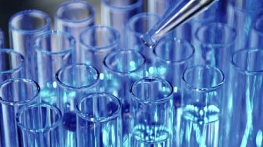 Şeffaf bir pipetin sıvısı test tüplerine dökülür. Bunlar da mavi ışıkla aydınlatılır. Yakın plan..