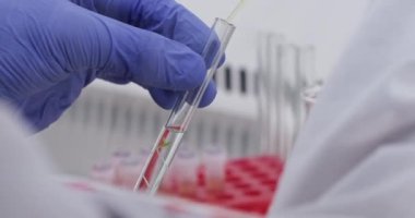Laboratuvar asistanı bitkiyle birlikte temiz sıvıyı test tüpüne boşaltıyor.