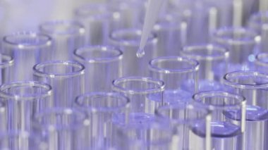 Deney yapmak için test tüplerine temiz su damlatıyorlar.