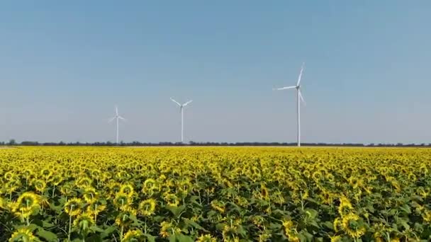 風力タービンブレードは 晴れた日の超スローモーションで明るい青空に対してひまわり畑の間で生態系の電気を発生回転させます — ストック動画