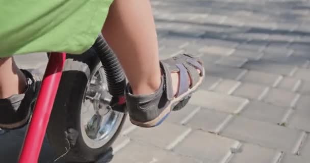Kleine jongen rijdt driewieler rinkelt bel op de weg in het zonnige park — Stockvideo