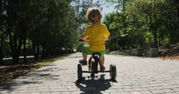 Criança monta triciclo ao longo da estrada vazia no parque verde — Vídeo de Stock