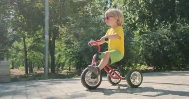 明るい服で遊ぶ子供は茂みの前を三輪車に乗る — ストック動画