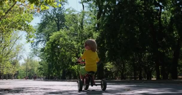 Biondo bambino cavalca triciclo e si guarda intorno nel parco — Video Stock